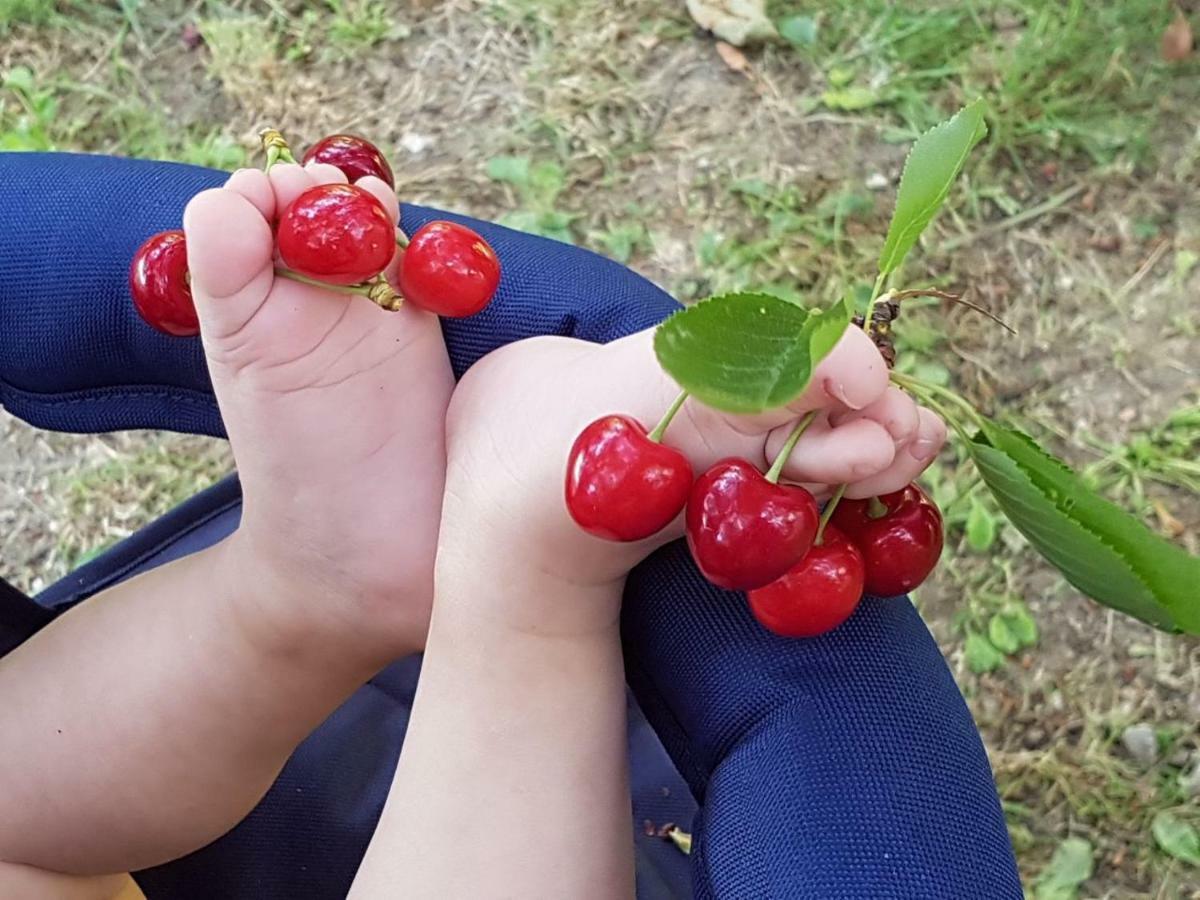 דירות גוביו Il Ciliegio Del Pellegrino מראה חיצוני תמונה